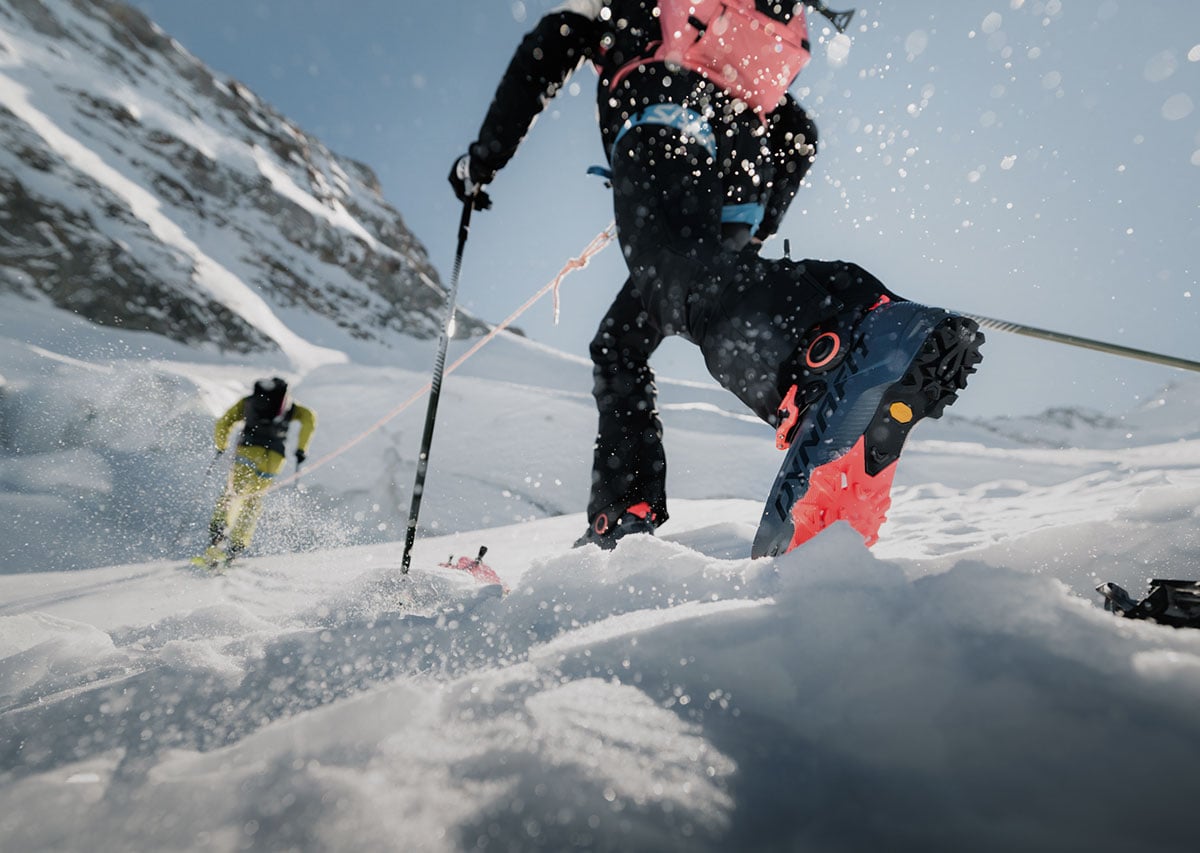 Scarpa Pro Deals