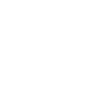 DPS SKIS