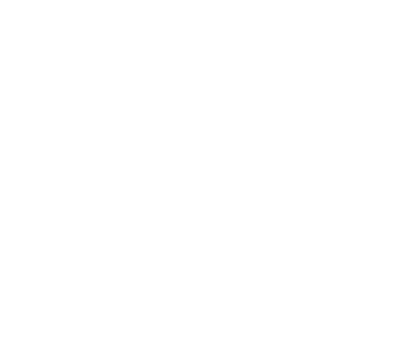 Dynafit